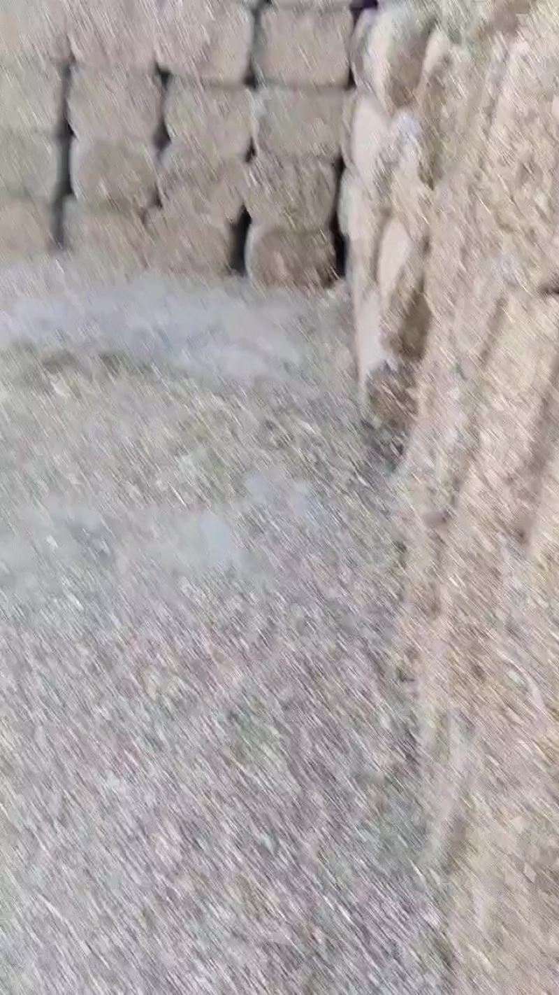 玉米秸秆