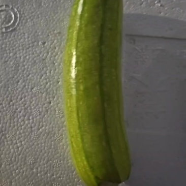 菜瓜