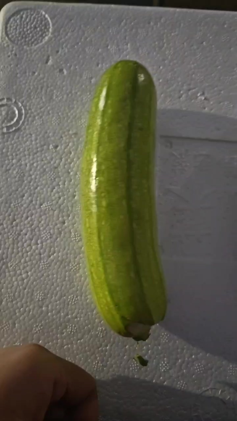 菜瓜