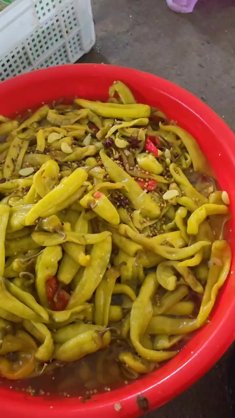 精品大泡椒