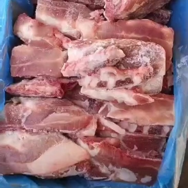 猪胸骨