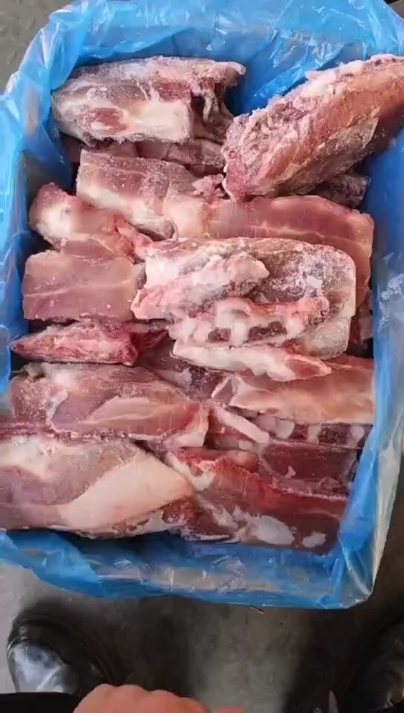 猪胸骨