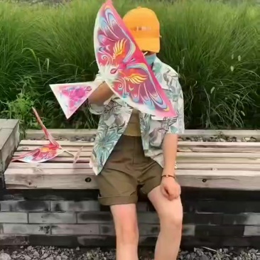鲁班飞鸟玩具批发