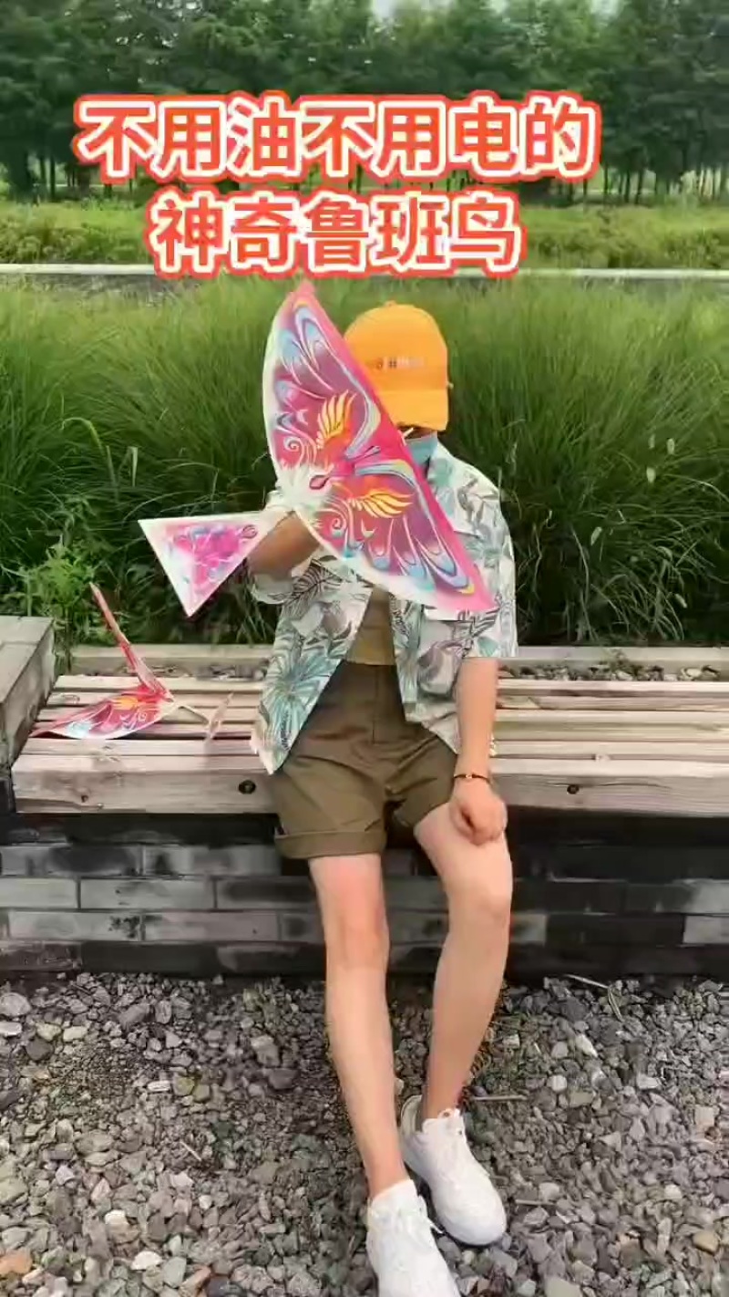 鲁班飞鸟玩具批发