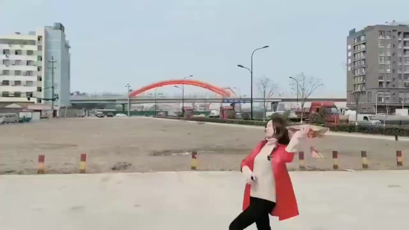 鲁班飞鸟玩具批发
