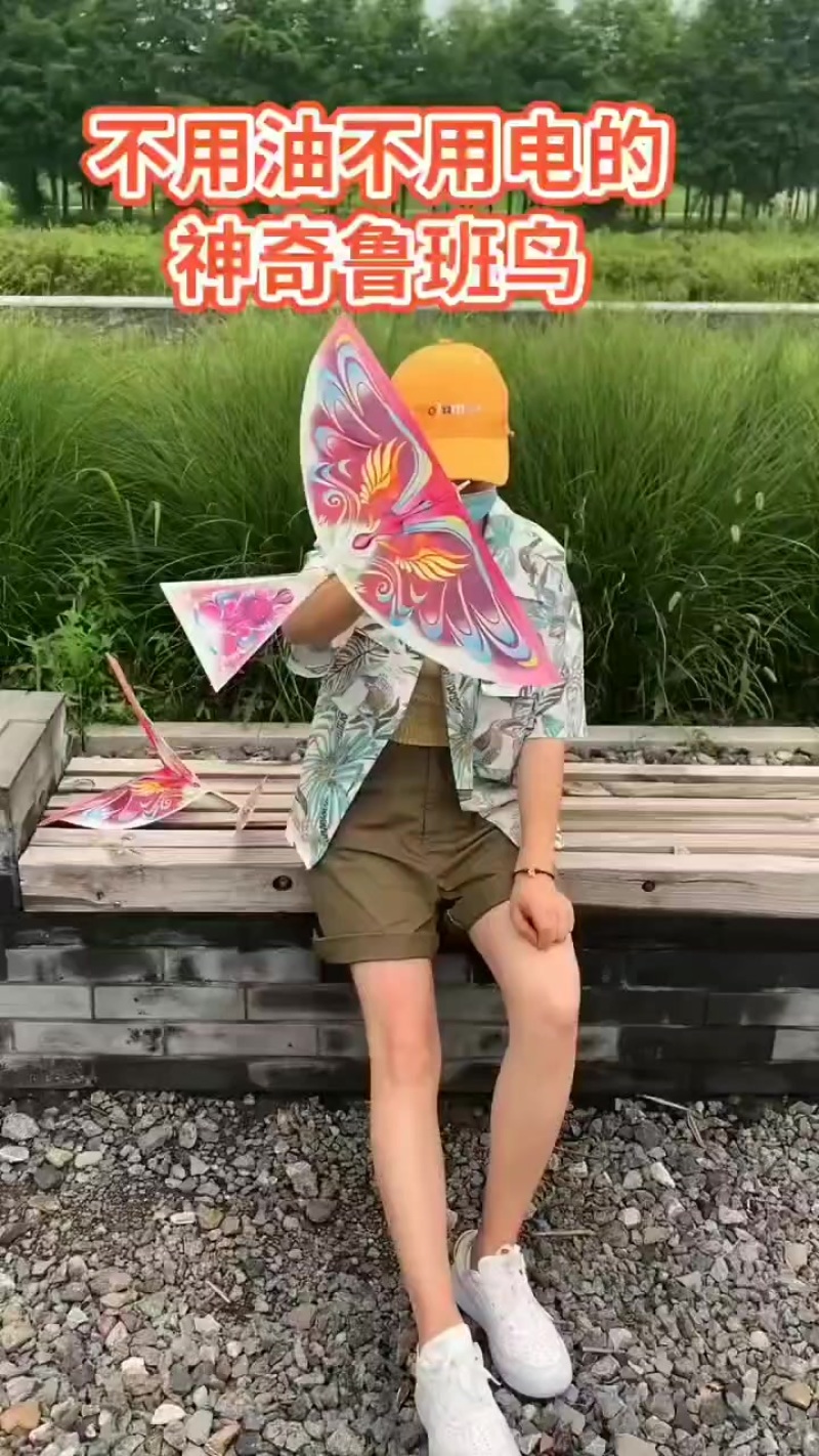 鲁班飞鸟玩具批发