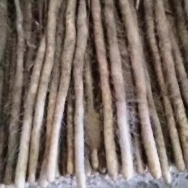 铁棍山药