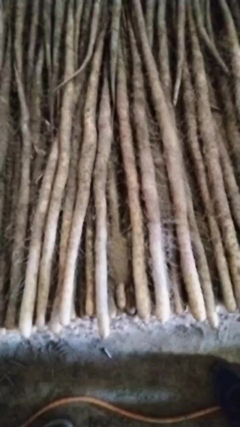 铁棍山药