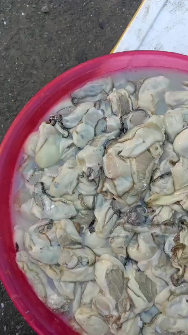 生蚝肉批发