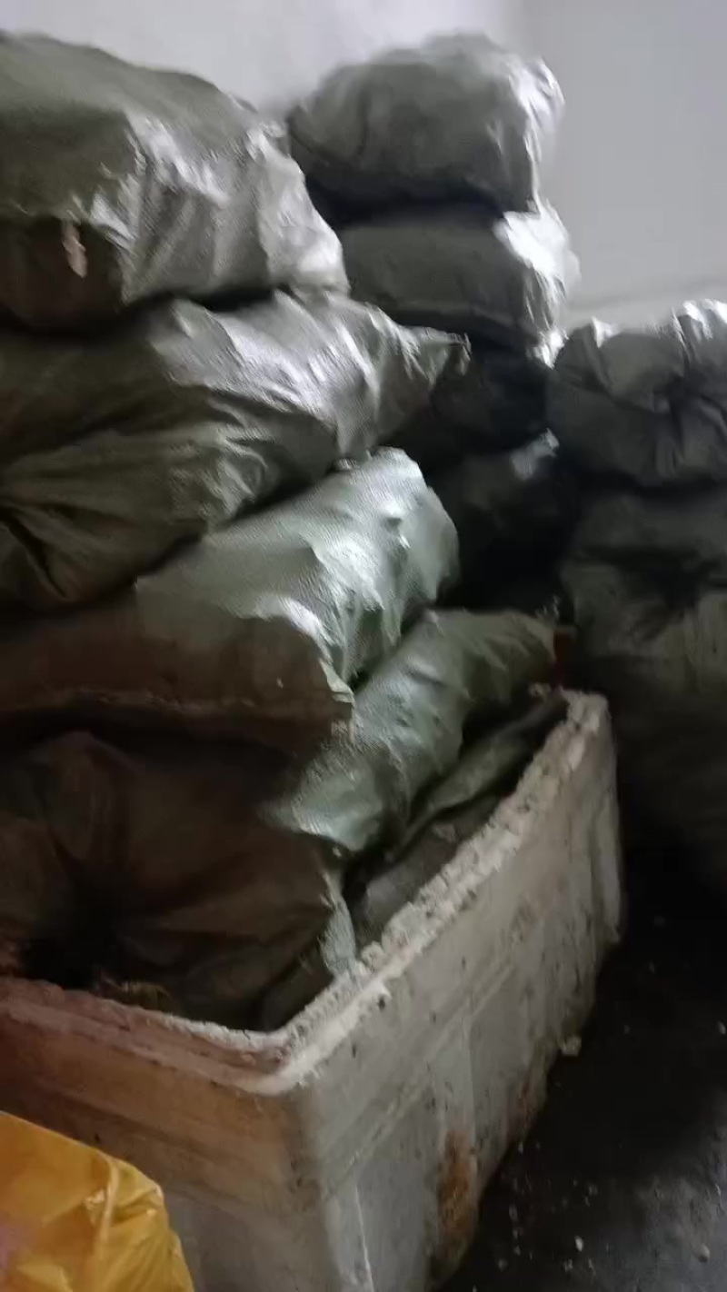 生蚝肉批发