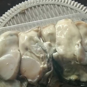 生蚝肉批发