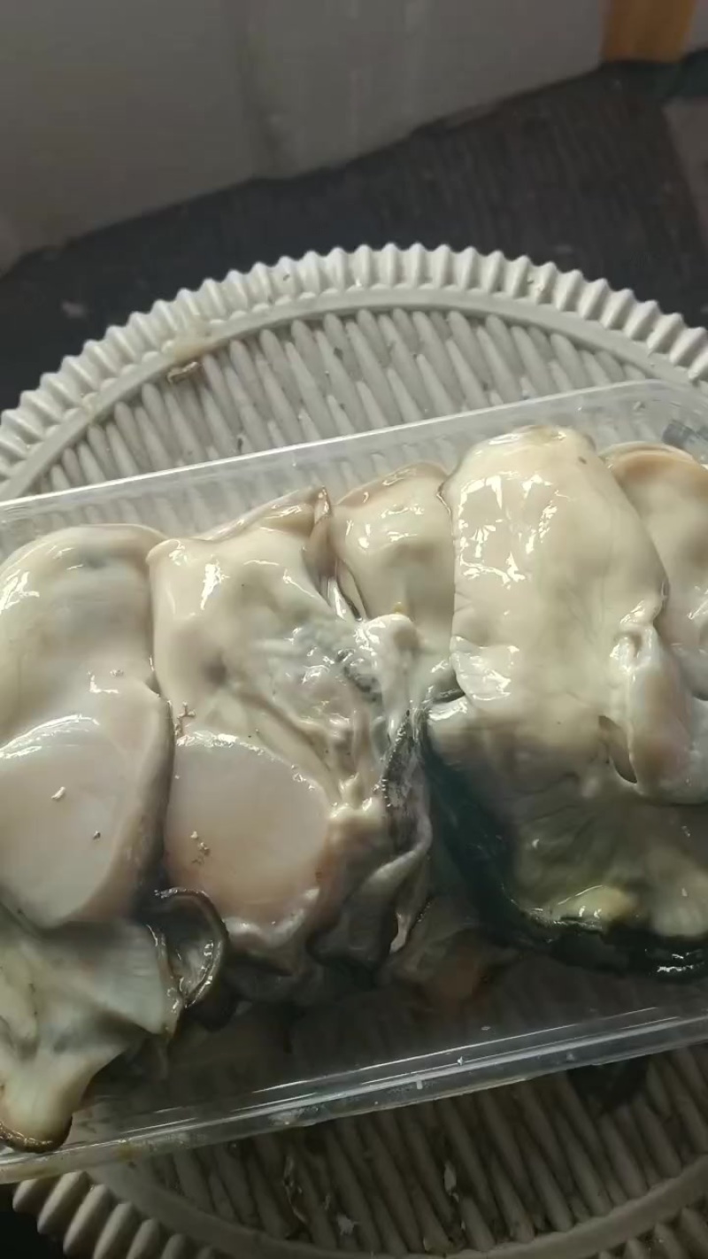 生蚝肉批发