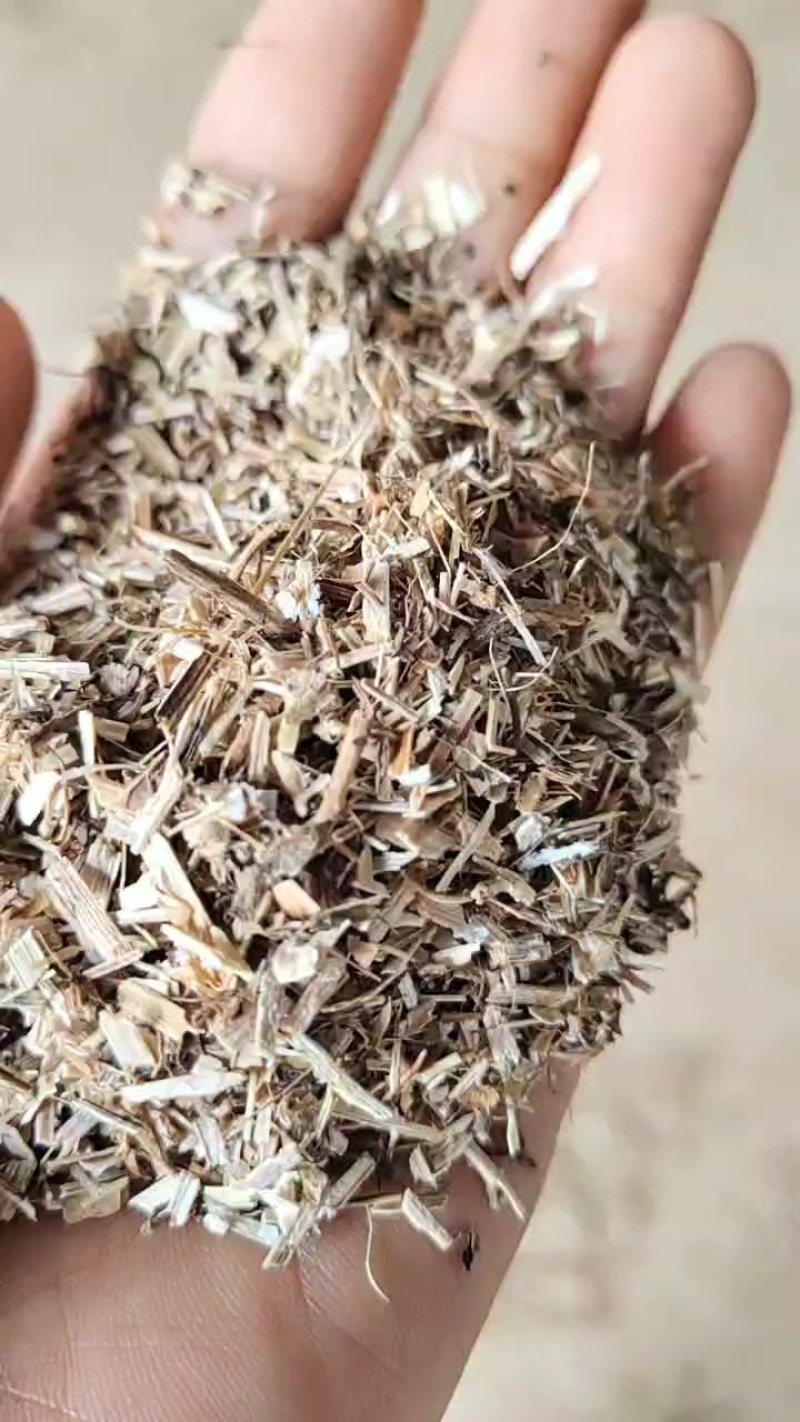花生秧叶粉