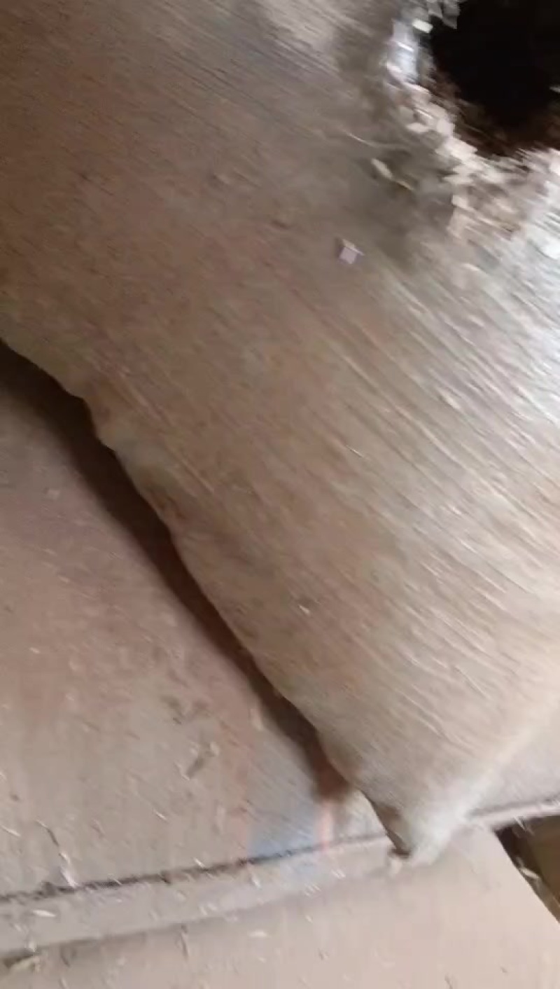 花生秧叶粉