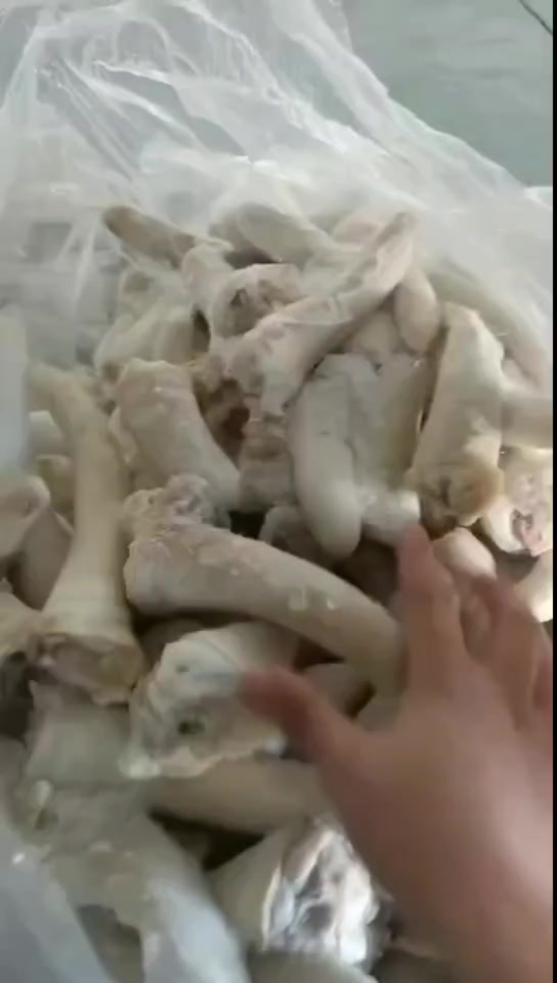 猪尾巴