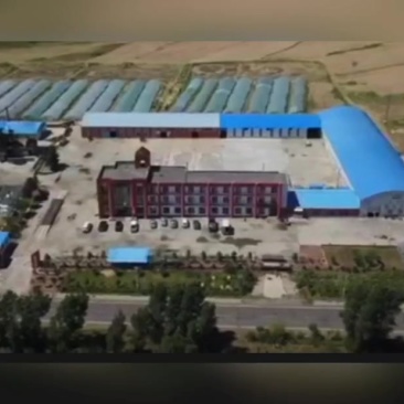 出让大米厂沙漠水稻基地国家示范基地