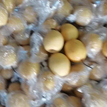 小蜜梨正在走货中。质量好金黄色汁水多核特小。产地直销河北