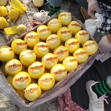 瓜。