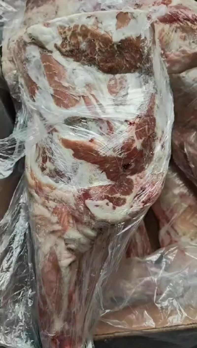 新到羊前腿，一件6条​品质很好，烤羊腿用太合适