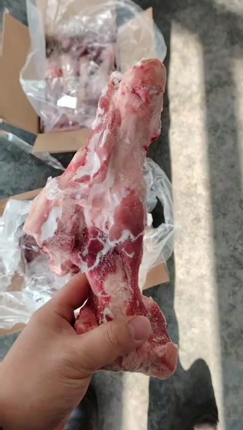肥猪前腿骨20吨