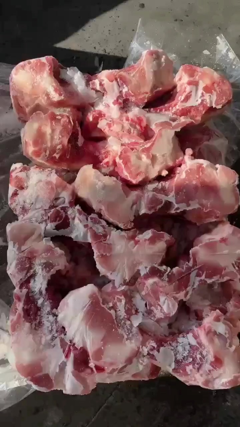 肥猪前腿骨20吨