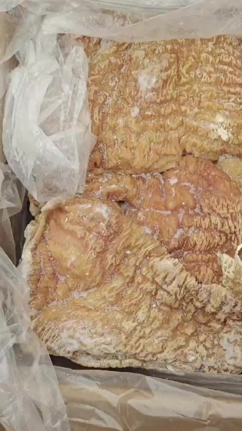 牛碗口纯碗口不带尿泡和子肠干净