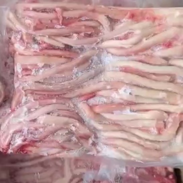 精品猪鞭一手货源
