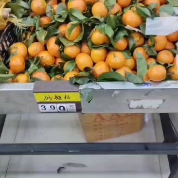 李明道水果批发