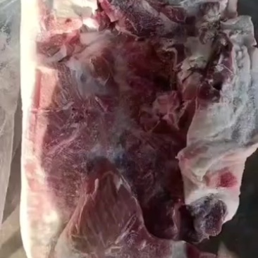 肥猪带皮前上肉，支持电商，可以联系