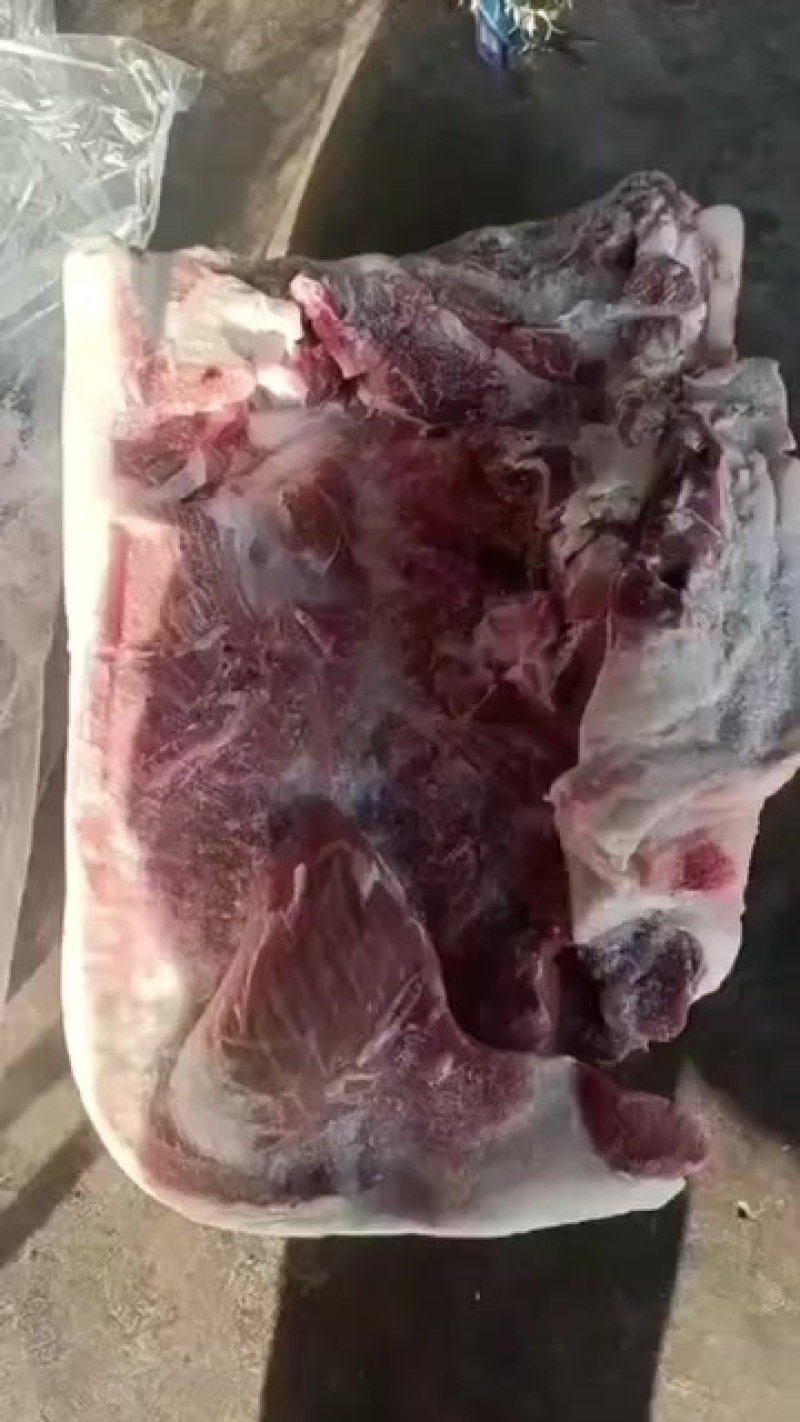 肥猪带皮前上肉，支持电商，可以联系