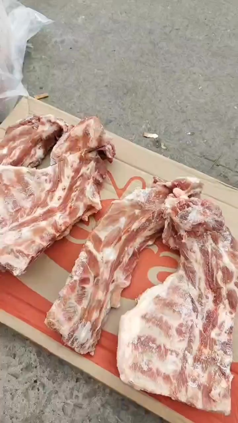 3237颈骨