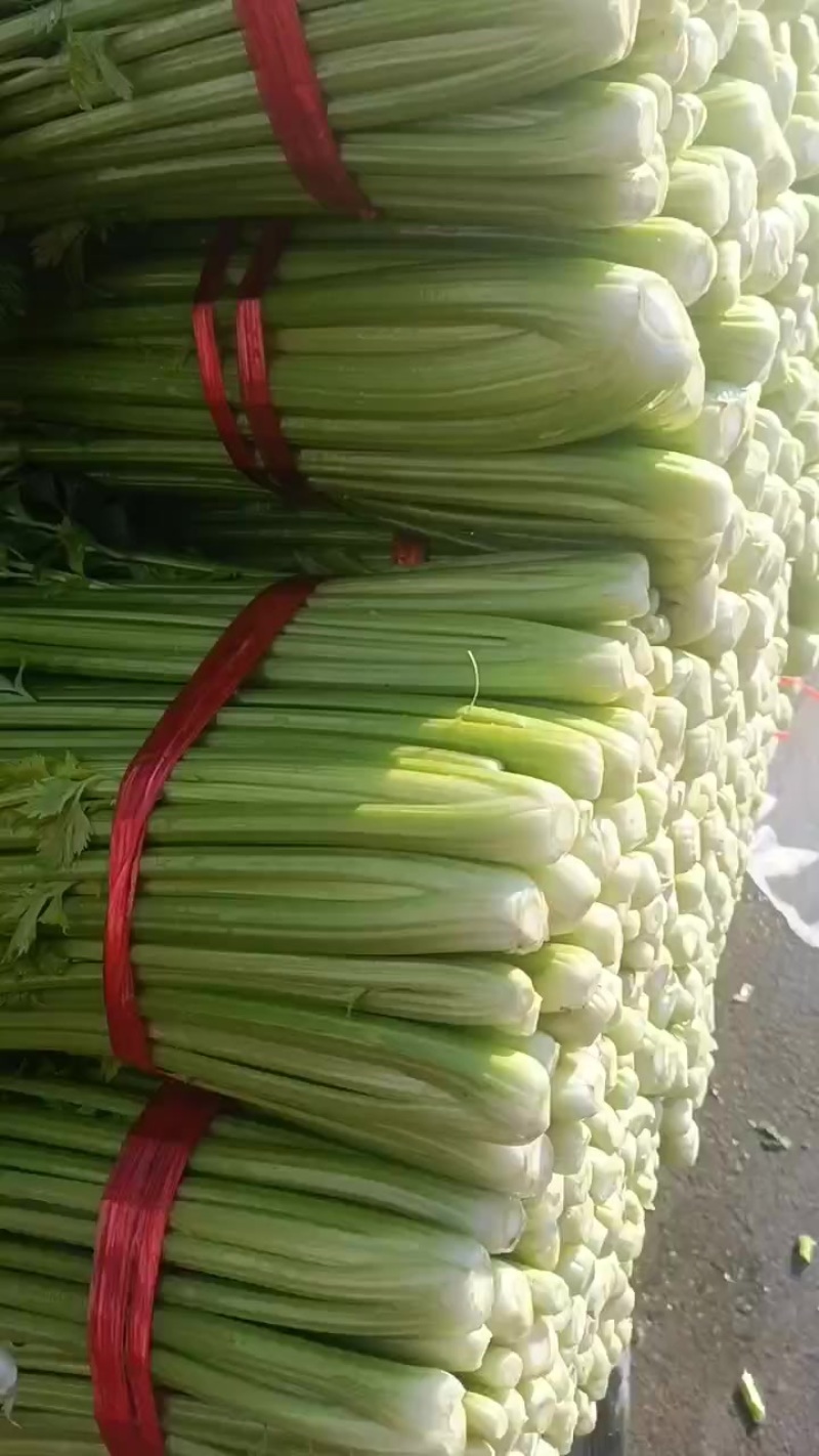 西芹