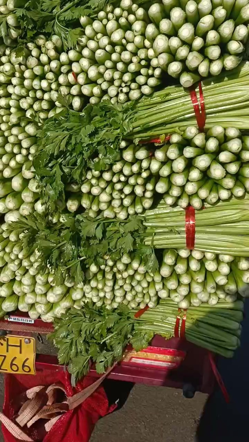 西芹