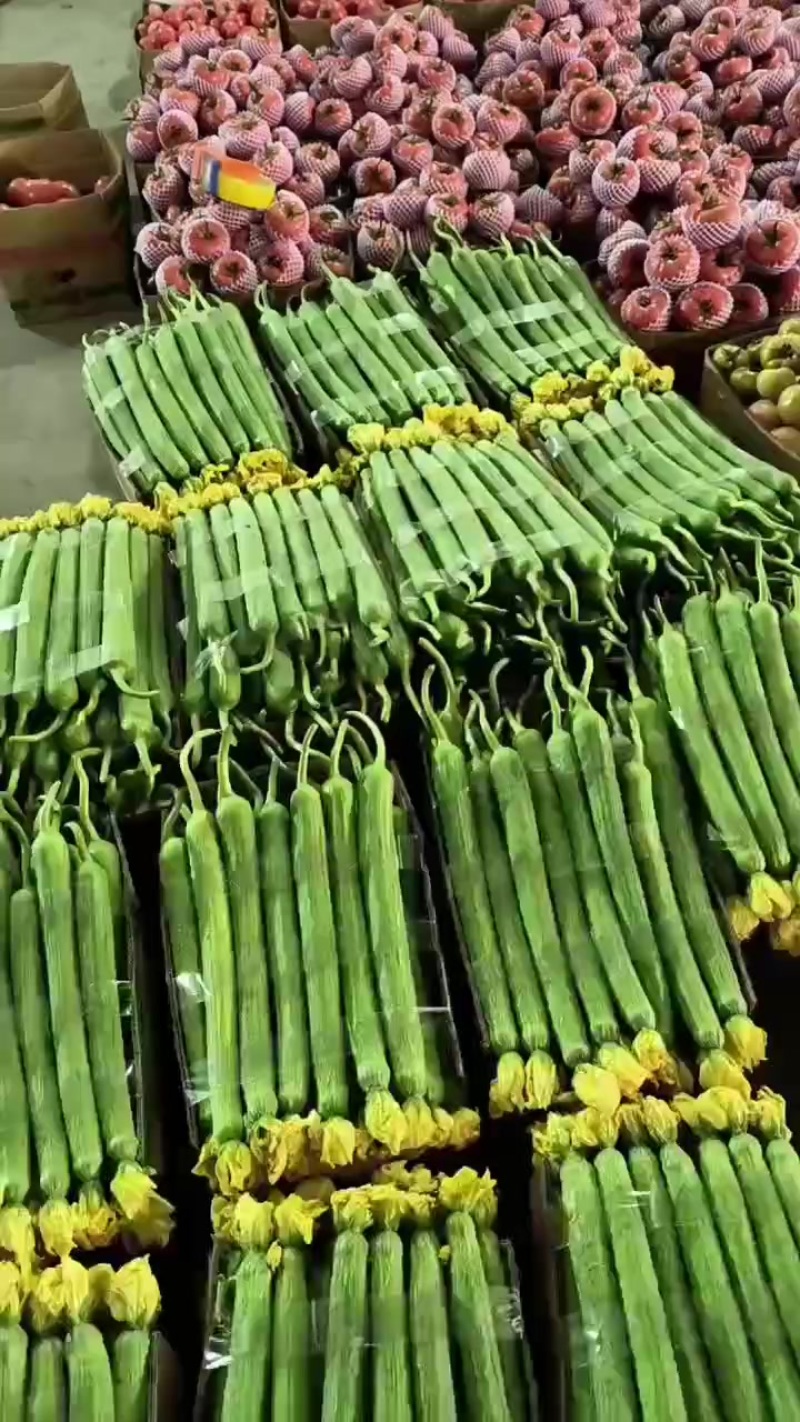 绿皮鲜花丝瓜