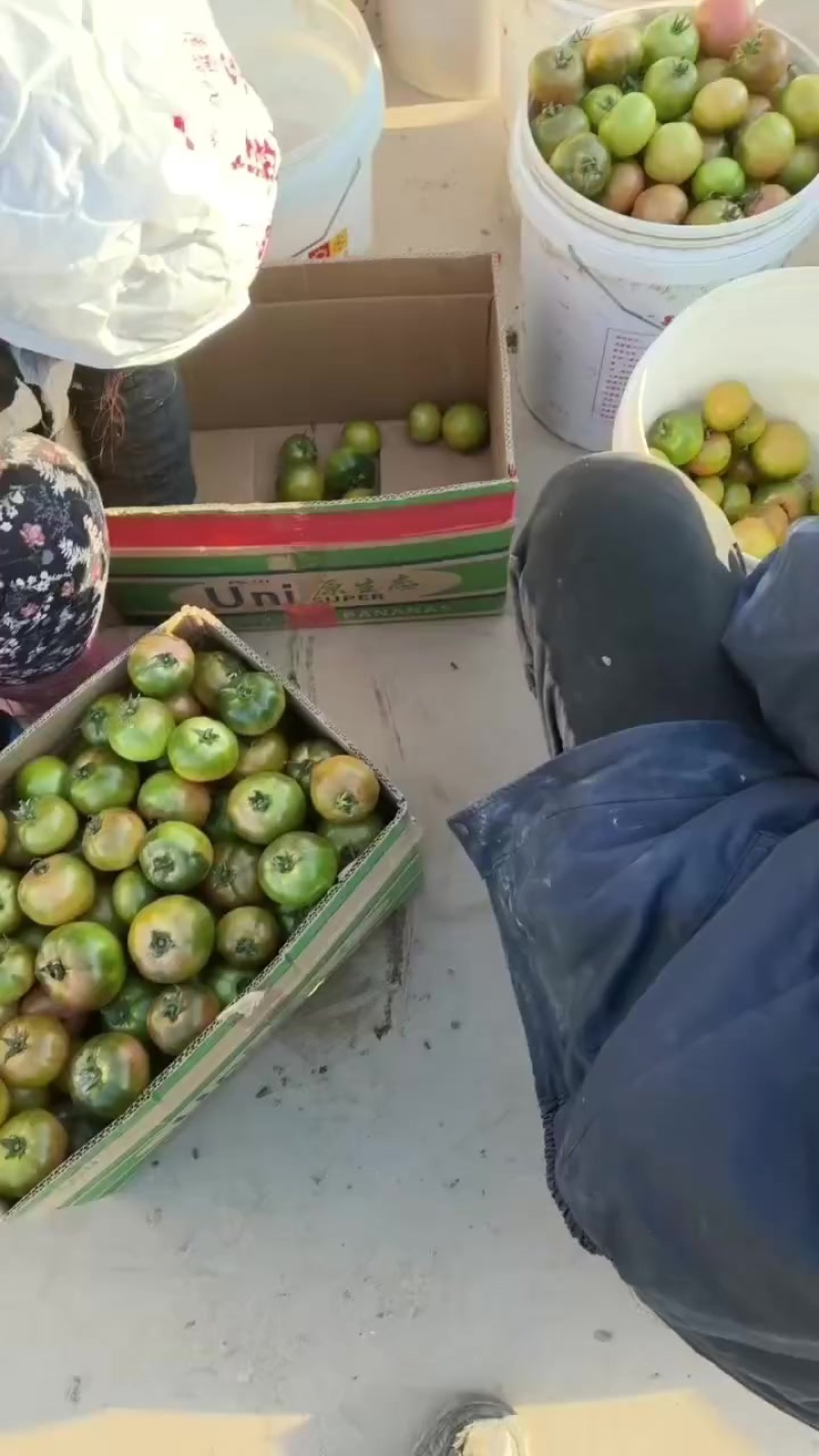草莓西红柿