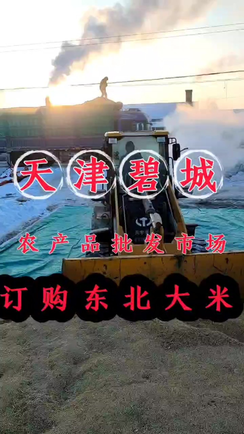 东北稻花香大米