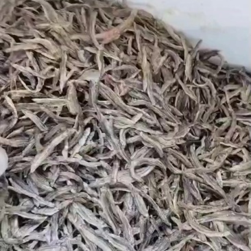 小鱼干，泥鳅鱼干，鲫鱼干，等等