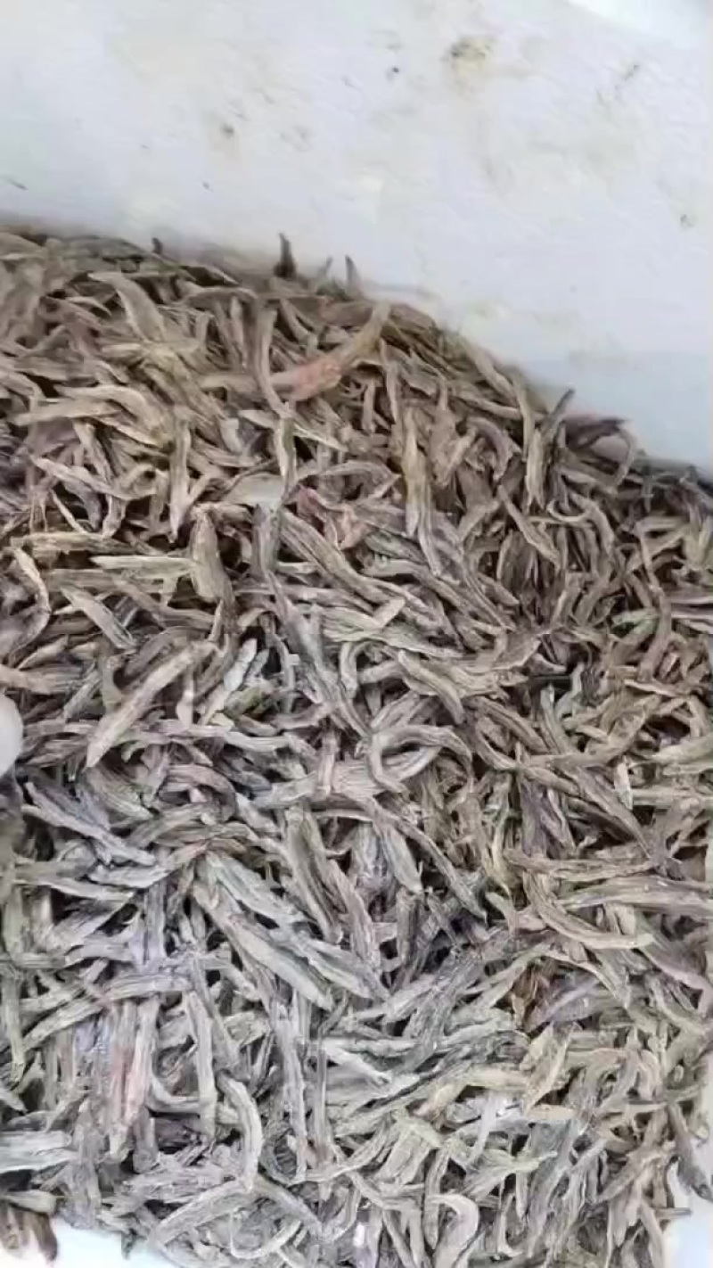 小鱼干，泥鳅鱼干，鲫鱼干，等等