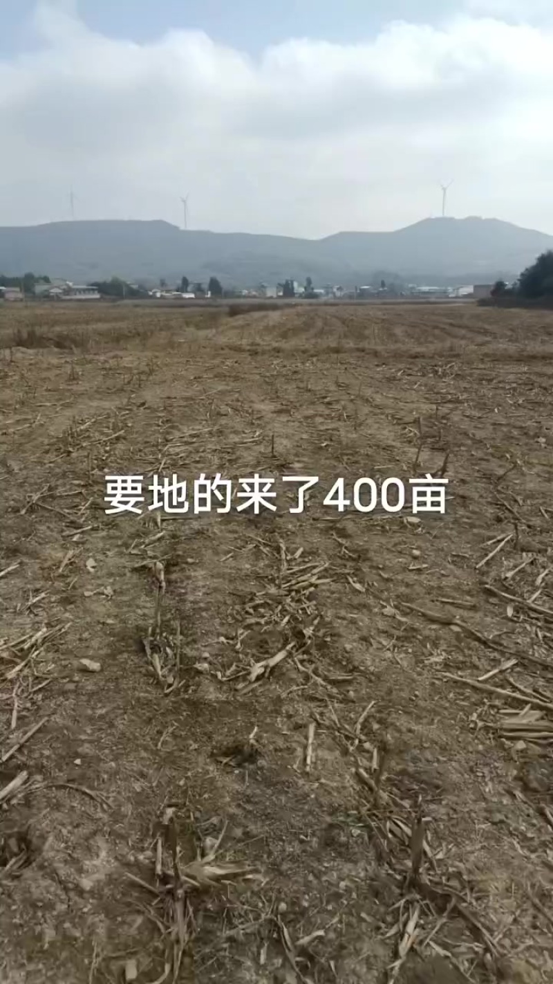 马龙旧县有350亩田地转让有要的***********