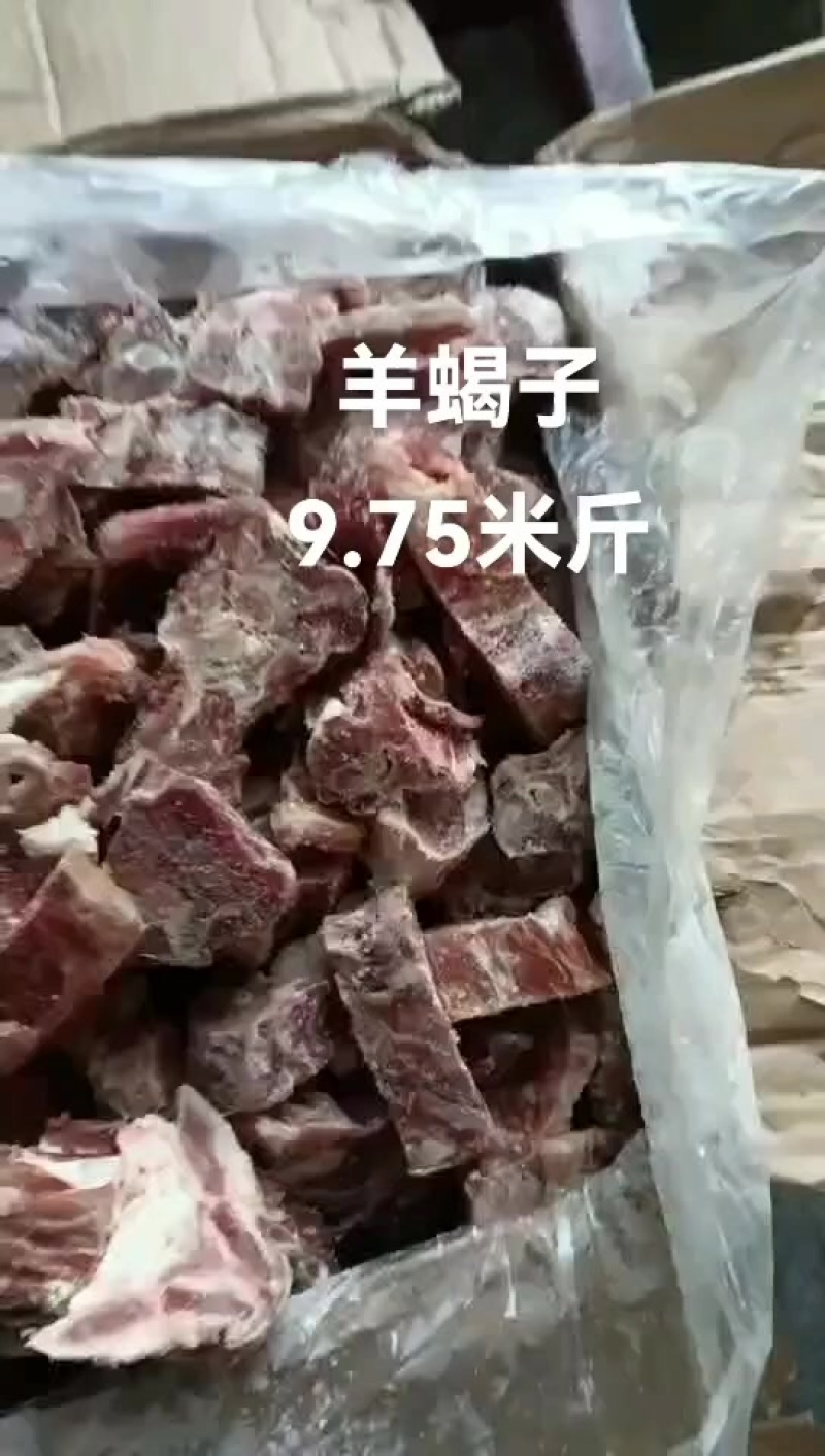 羊蝎子