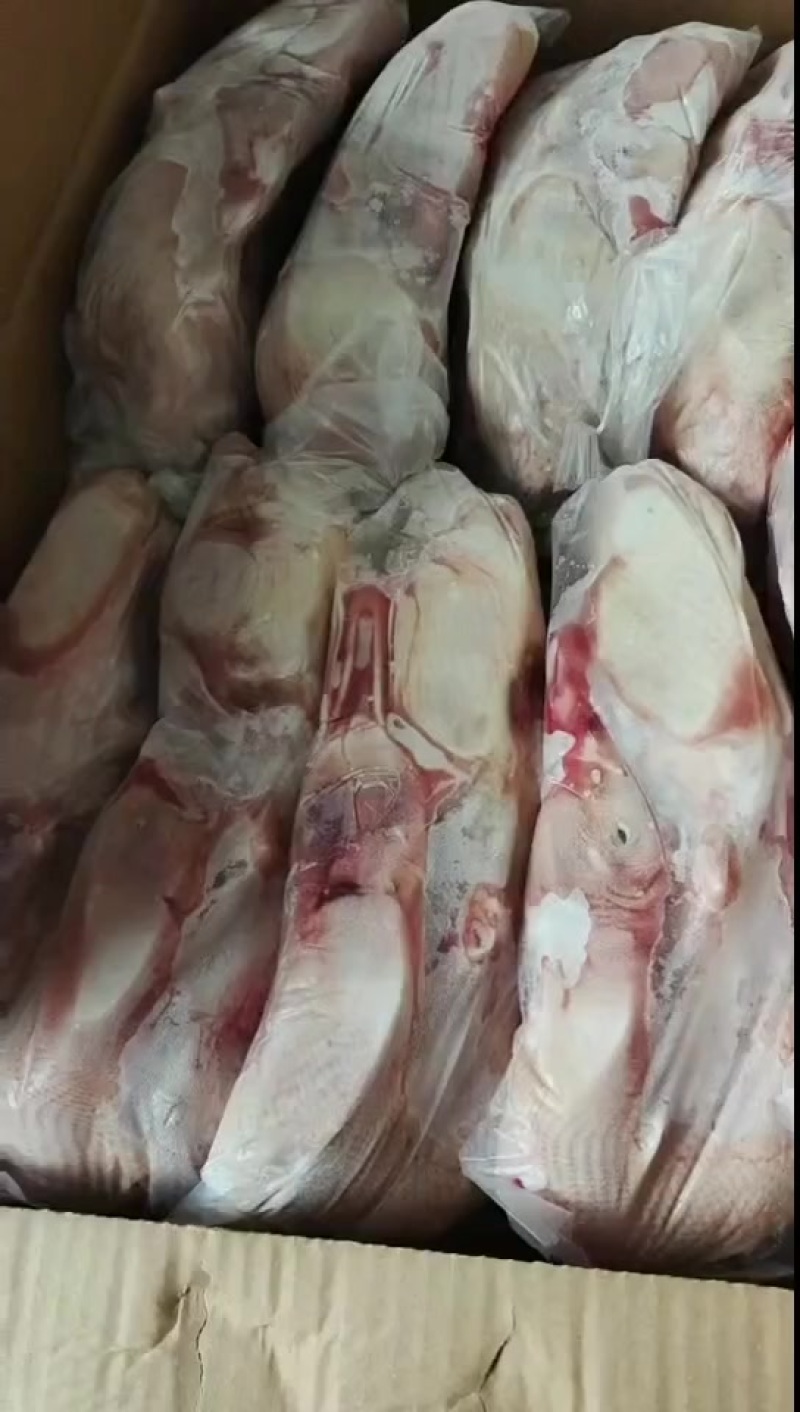 白条鸭腾惠更多客户的选择