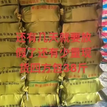 精品茘枝木炭四方包