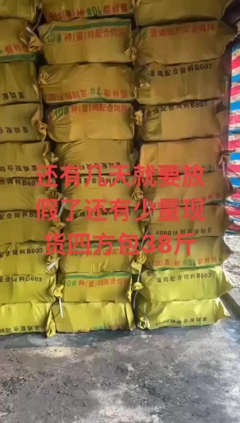 精品茘枝木炭四方包