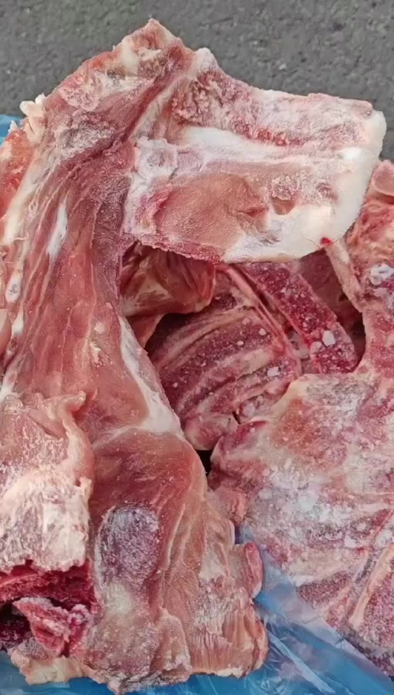 猪颈骨