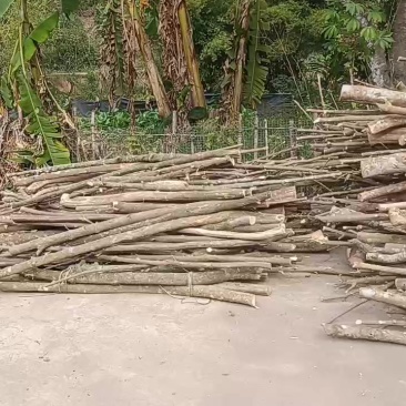三叉苦