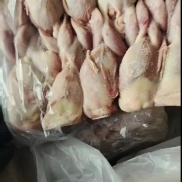 鹌鹑实拍，特色菜品，提高利润的好产品