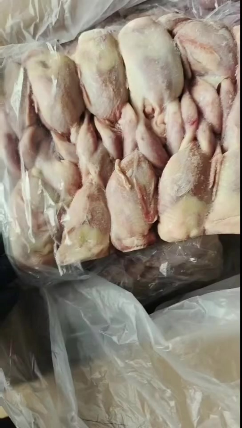 鹌鹑实拍，特色菜品，提高利润的好产品