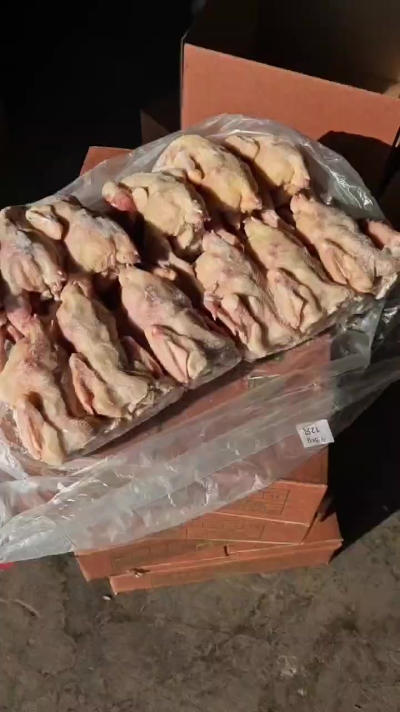 三黄鸡