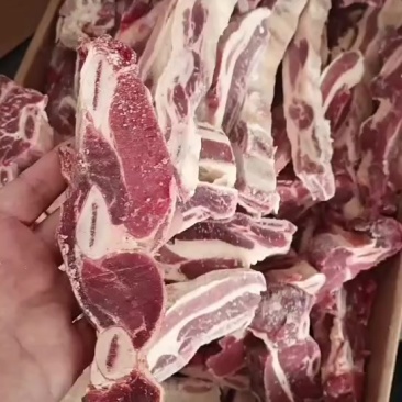 牛肋排，整块的，加工好的都有有需要的老板联系
