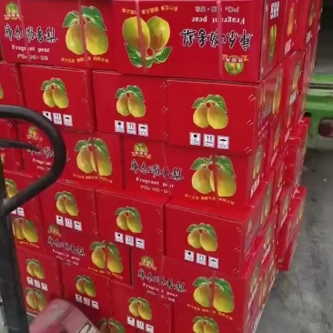 香梨礼盒